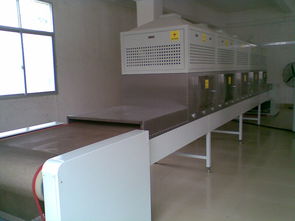 廣東福滔 微波牛肉干燥殺菌機(jī)廠家直銷，以卓越品質(zhì)引領(lǐng)行業(yè)標(biāo)準(zhǔn)